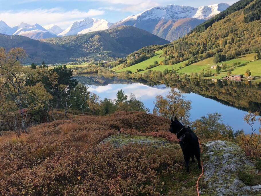 Minihus Med Drommeutsikt Til Sunnmorsalpene Apartment Aure  ภายนอก รูปภาพ
