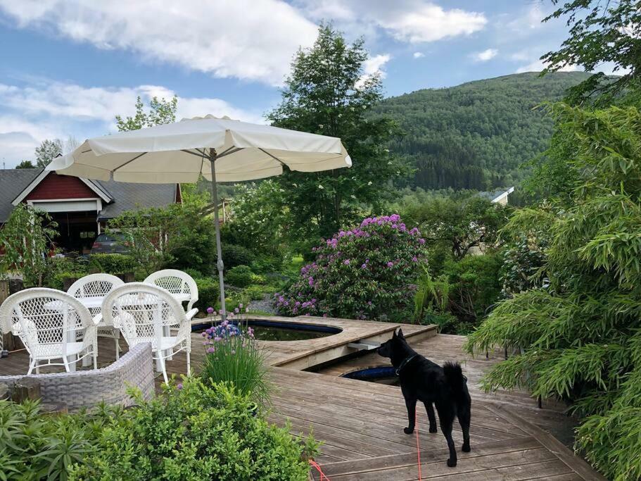 Minihus Med Drommeutsikt Til Sunnmorsalpene Apartment Aure  ภายนอก รูปภาพ